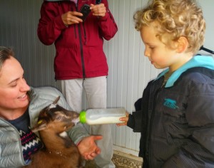 20160403 jeune enfant et chevreau